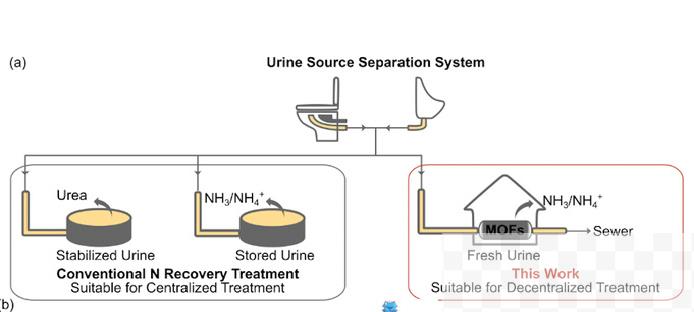 尿里取宝，氨氮污染源头资源化研究获进展