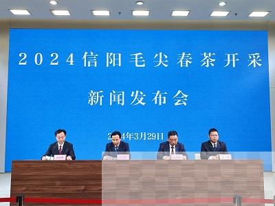 2024信阳毛尖春茶开采时间确定